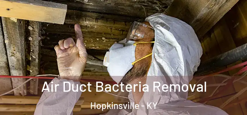 Air Duct Bacteria Removal Hopkinsville - KY