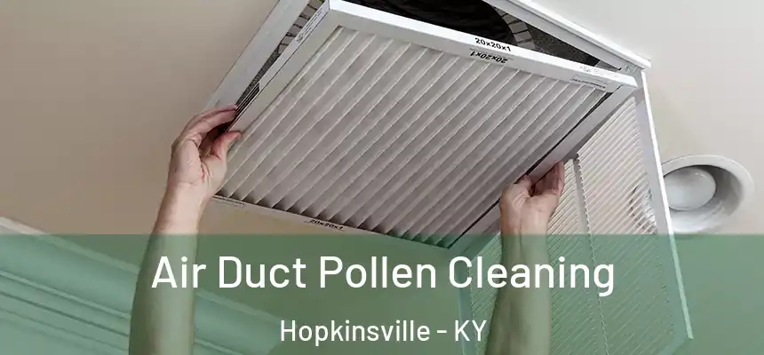 Air Duct Pollen Cleaning Hopkinsville - KY
