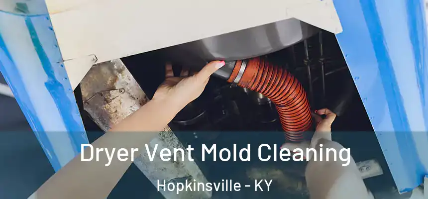 Dryer Vent Mold Cleaning Hopkinsville - KY
