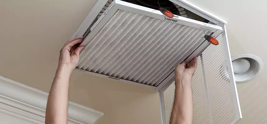 Preventive Cockroach-Proofing for Ducts in Hopkinsville