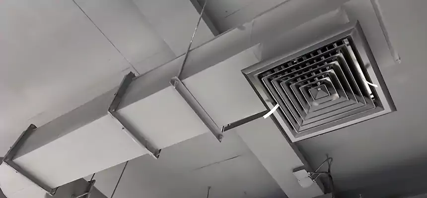 Our Pest Removal From Ducts Services in Hopkinsville, KY