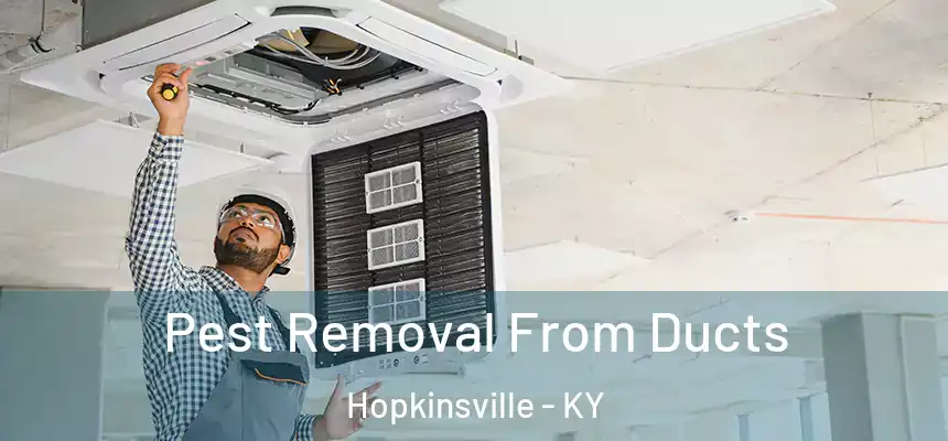  Pest Removal From Ducts Hopkinsville - KY