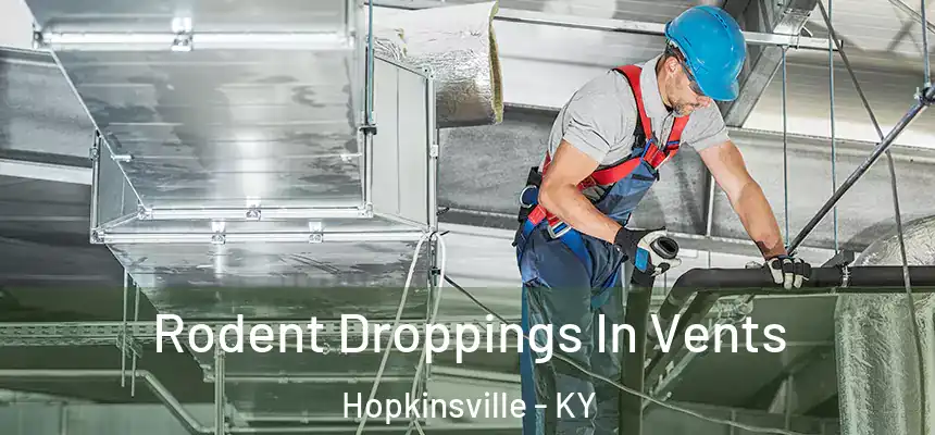  Rodent Droppings In Vents Hopkinsville - KY