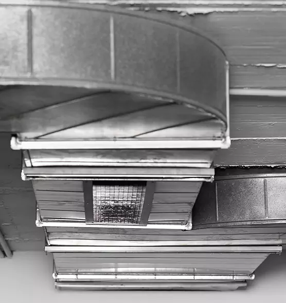 Professional Air Duct Pest Removal in Hopkinsville, KY