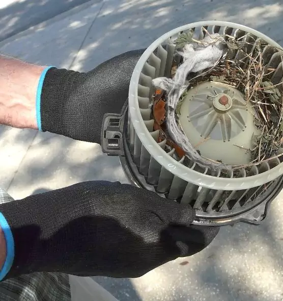 About Air Duct Rat Removal in Hopkinsville, KY