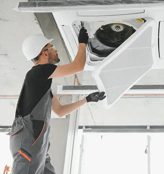 About Air Duct Rodent Removal in Hopkinsville, KY