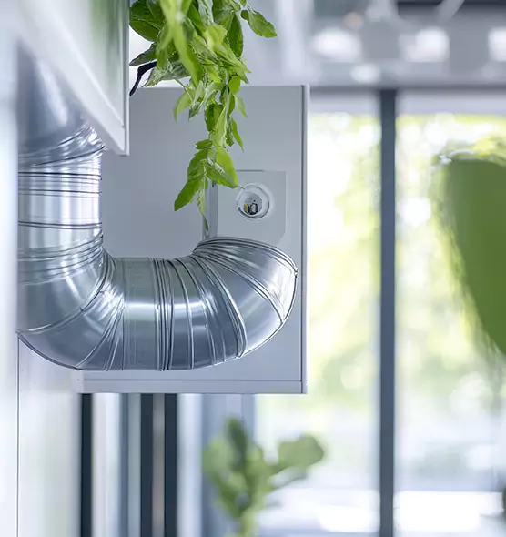 Professional Eco-Safe Dryer Vent Cleaning in Hopkinsville, KY