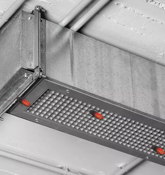 Affordable Insect Removal from Air Ducts in Hopkinsville, KY