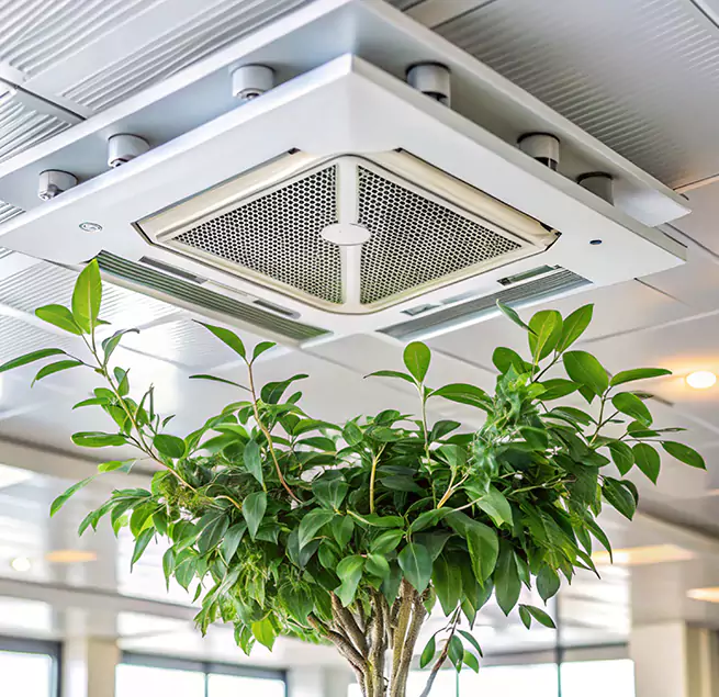 Why Homeowners & Businesses Trust Us in Hopkinsville, KY